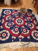 74 Quilt Shops In Colorado To To Inspire You