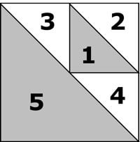 Birds in the Air unit