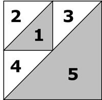 Birds in the Air unit