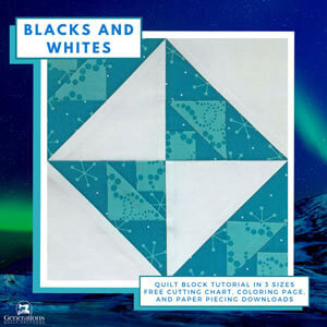 Learn how to make a Blacks and Whites paper pieced quilt block here