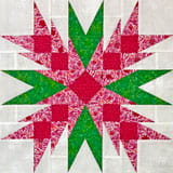 The Christmas Cactus quilt block tutorial in 3 sizes