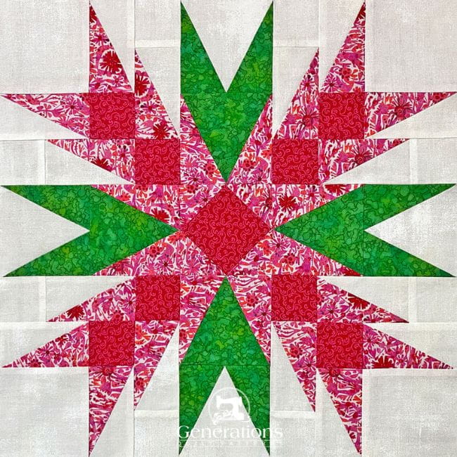 A Christmas Cactus quilt block A Christmas Cactus quilt block