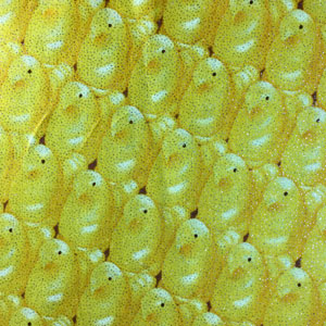 Glitter fabric is a no-no for comfort quilts Glitter fabric is a no-no for comfort quilts