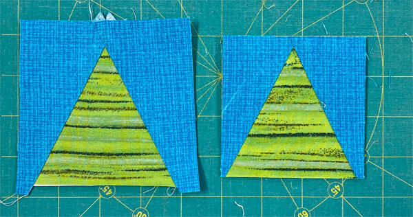 Seriously, the TiaS on the left is a hot mess...before trimming to perfection.