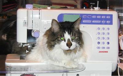 Elvis decides to take over the sewing machine
