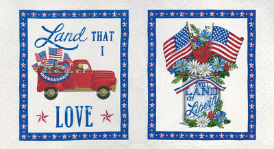 All American Quilt Panel Panel, 23" x 42"