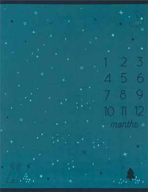 Birthday Milestone Panel, 35” x 42”, available in Teal, Cotton Candy and Buttercream