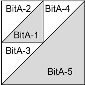 Birds in the Air unit