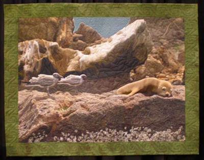 Shh! She's Sleeping by Barbara McKie<br />Lyme, Connecticut<br />52