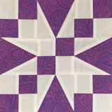 Click here for the Texas quilt block tutorial and design inspiration