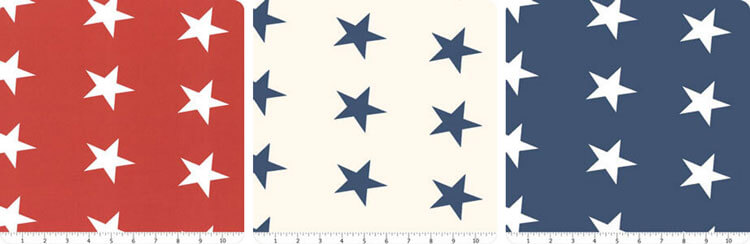 Bunting 108” Wide Backing by Minick & Simpson for Moda