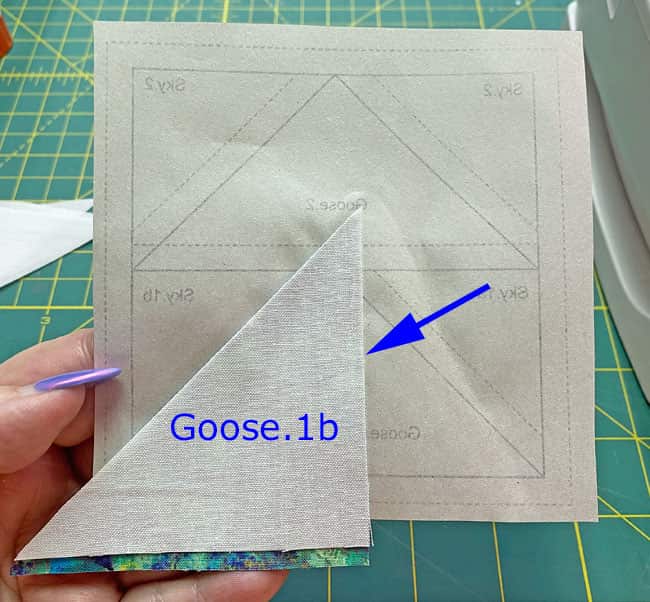 Position Goose.1b RST with Goose.1a Position Goose.1b RST with Goose.1a