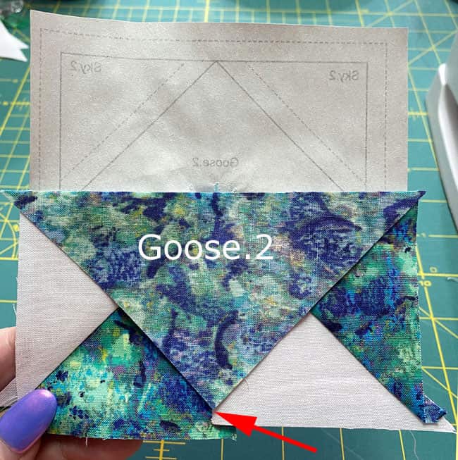 Position Goose.2 Position Goose.2